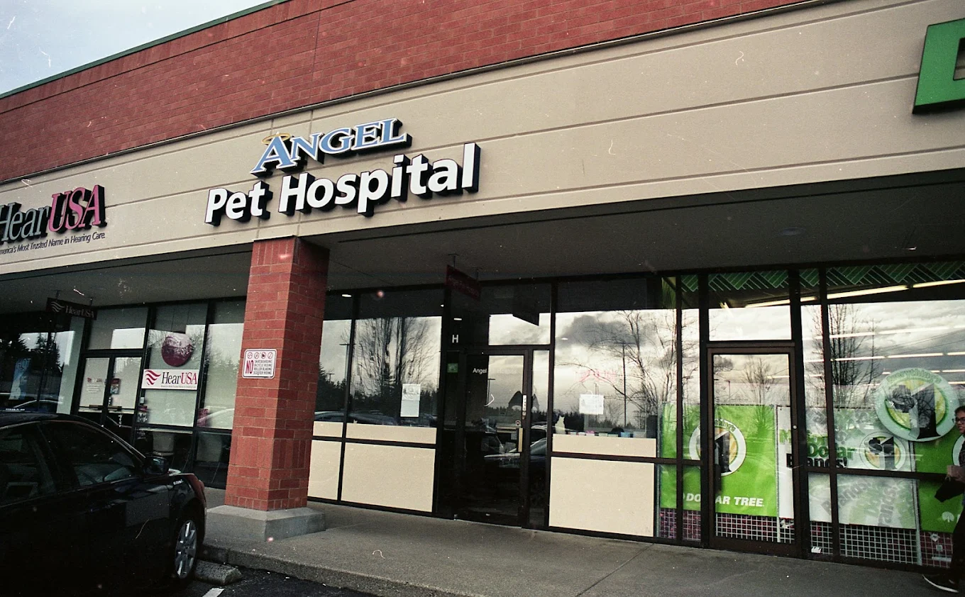 Angel Pet Hospital exterior