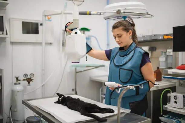 Angel Pet Hospital facility